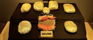 Malatya Emniyetinden uyuşturucuya geçit yok