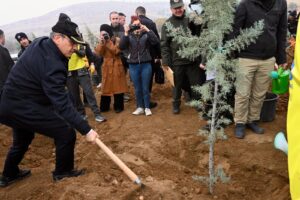 MİLLİ AĞAÇLANDIRMA GÜNÜ