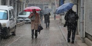 Mart Kapıdan Baktırdı: Van’a Lapa Lapa Kar Yağdı