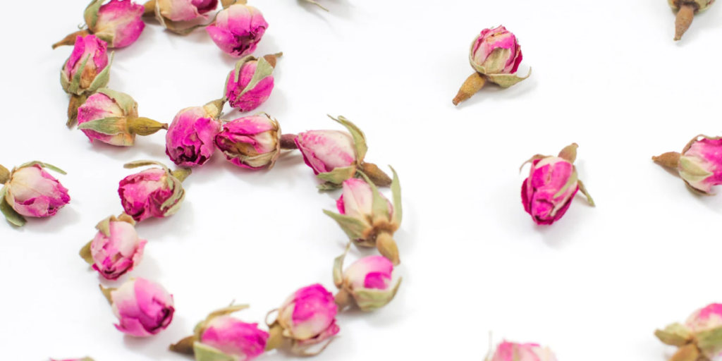 8 Mart Dünya Kadınlar Günü’nün Hikayesi