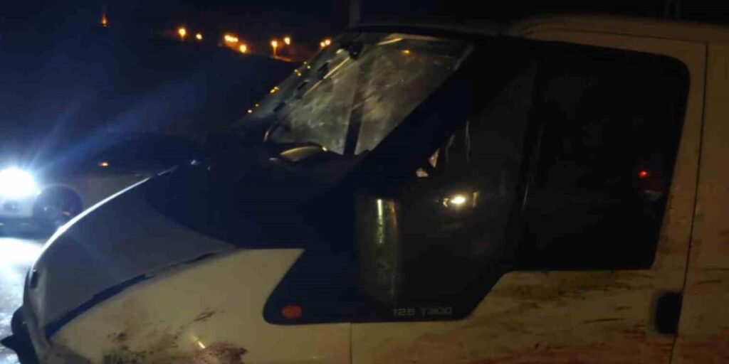 Siirt’te Minibüs Koyun Sürüsüne Daldı, 20’si Telef Oldu