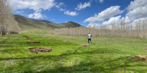 Muradiye’de meyvecilik gelişiyor