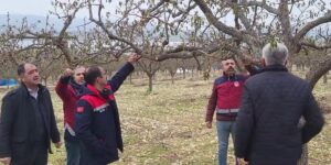 Zirai Donun Vurduğu Adıyaman’da Meyve Bahçelerinde Hasar Tespiti Sürüyor