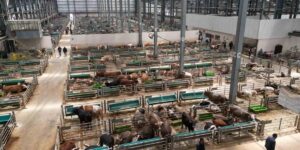 5 yılda 2 milyon kişi ziyaret etti