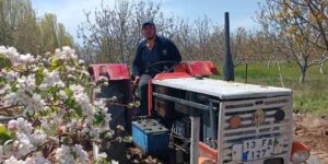 Adilcevaz’da bahçe çapalama dönemi