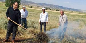 Araban Ovası’nda firik sezonu başladı