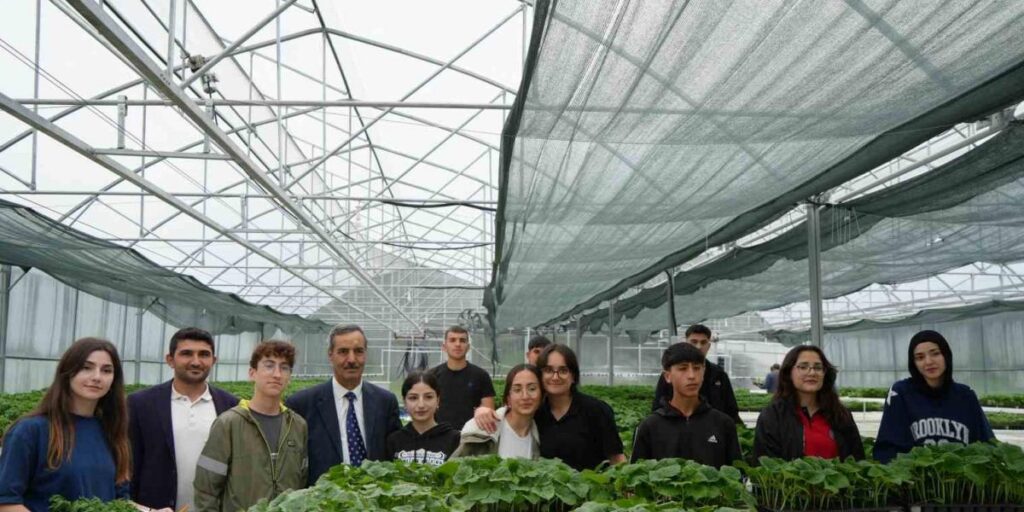 Ata tohumu fidelere öğrenci eli değdi: Hem üretiyorlar hem satıyorlar