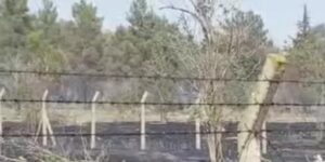 Atatürk Barajında korkutan yangın