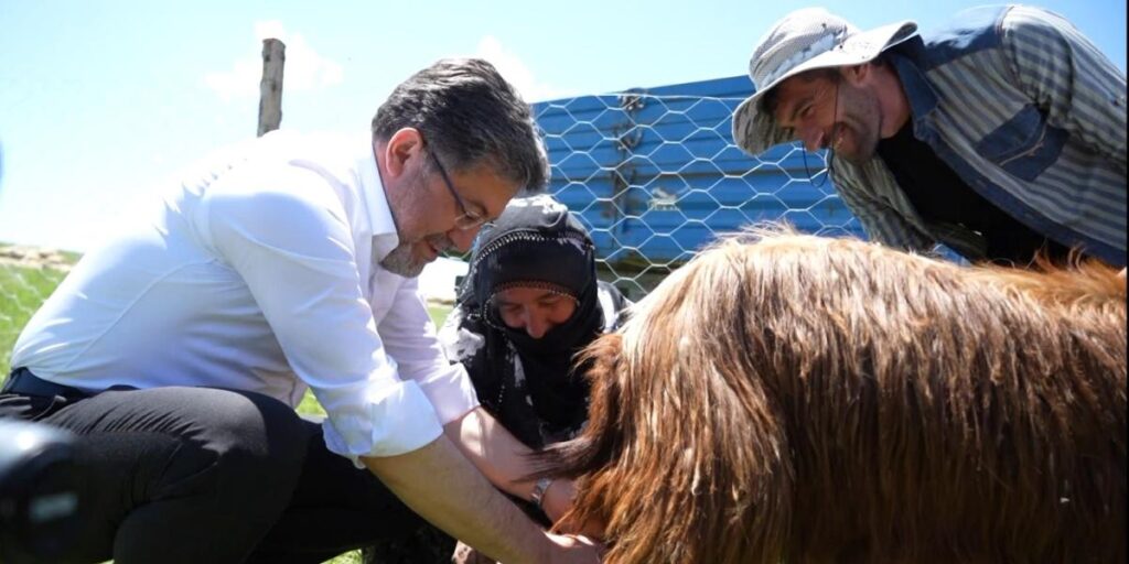 Bakan Yumaklı, süt sağan kadınlara eşlik etti, keçi sağdı