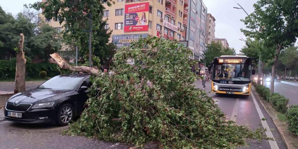 Batman’da şiddetli rüzgarın devirdiği ağaç park halindeki aracın üzerine düştü