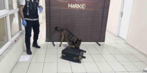 Batman’da uyuşturucu dolu valiz “Hektor”a takıldı