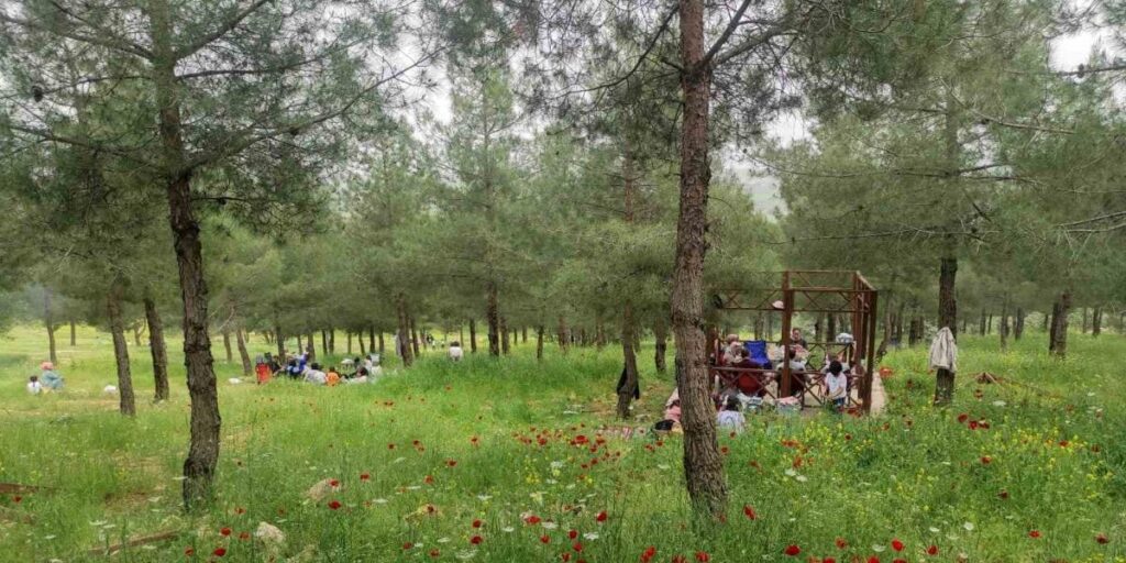 Batman’daki Malabadi Tabiat Parkı’na yoğun ilgi