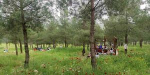 Batman’daki Malabadi Tabiat Parkı’na yoğun ilgi