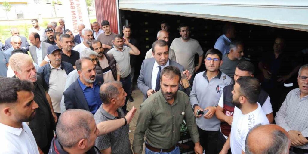 Bingöl’de üreticilere 442 bin sebze fidesi dağıtıldı