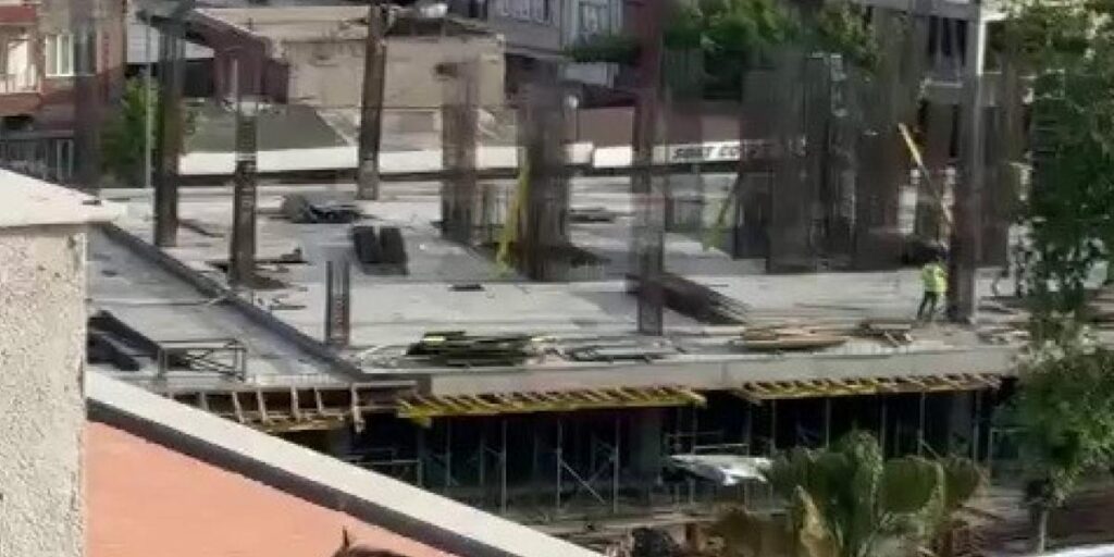 Çatıya çıkan tilki ekipleri harekete geçirdi