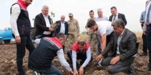 Cizre’de 2,5 milyon TL değerinde 50 çiftçiye verilen badem ve fıstıkların dikimi yerinde inceleme