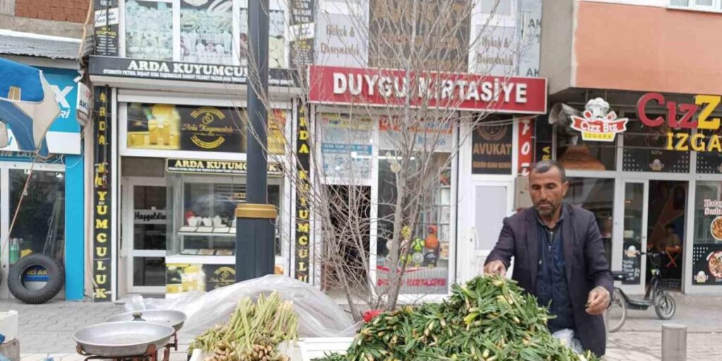 Diyadin’de baharın müjdecisi ışkın ve çiriş tezgahları süslüyor
