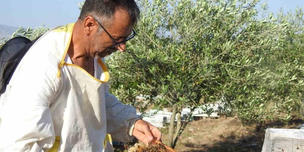 Doktorun annesine bal tavsiyesi hayatını değiştirdi