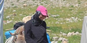 Erzincanlı göçerlerin yayla hayatı