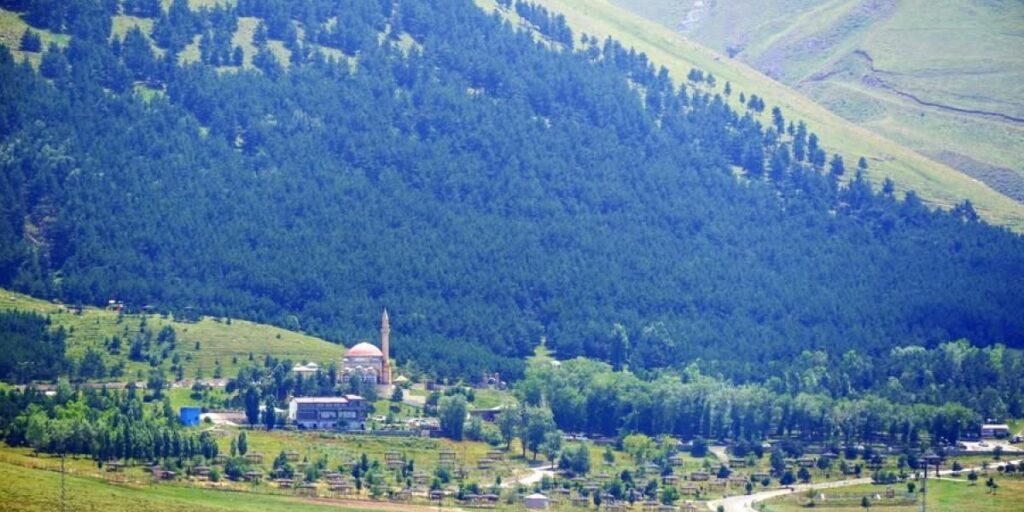 Erzurum’da “Orman Alanları, Ağaçlandırma ve Erozyon Kontrol Sahaları ile ilgili Valilik Genel Emri” yayınlandı