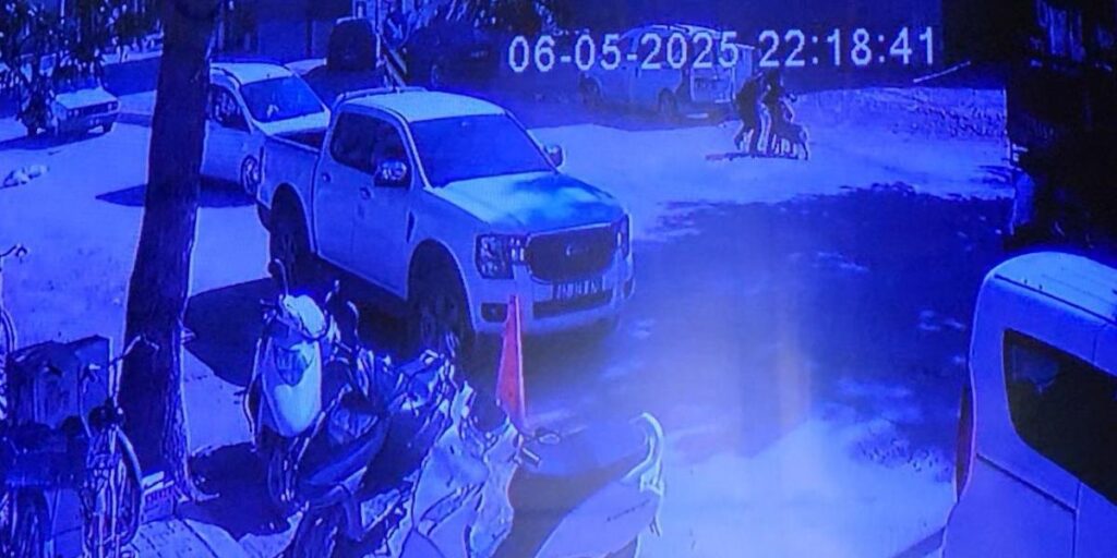Evden kaçan köpek sokakta yürüyen kızlara saldırdı