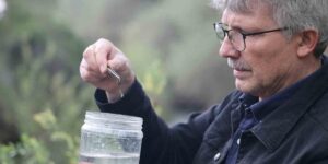 Fırat Üniversitesinden bilim dünyasına katkı: Elazığ’da yeni sülük türleri keşfedildi