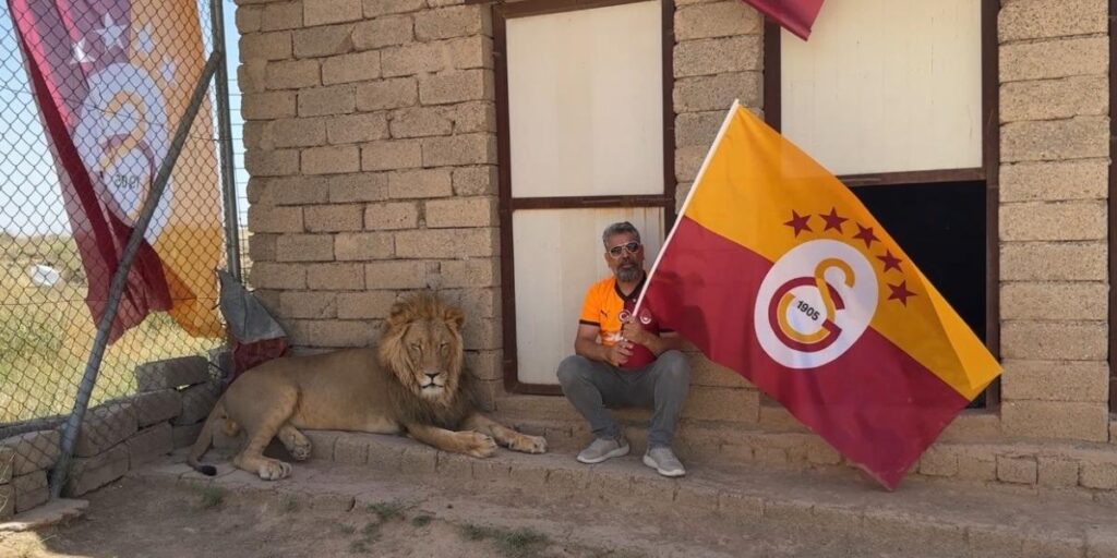 Galatasaraylı taraftar, şampiyonluğu aslanlarıyla kutladı