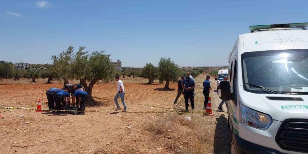 Gaziantep’te bir genç zeytin tarlasında ölü bulundu