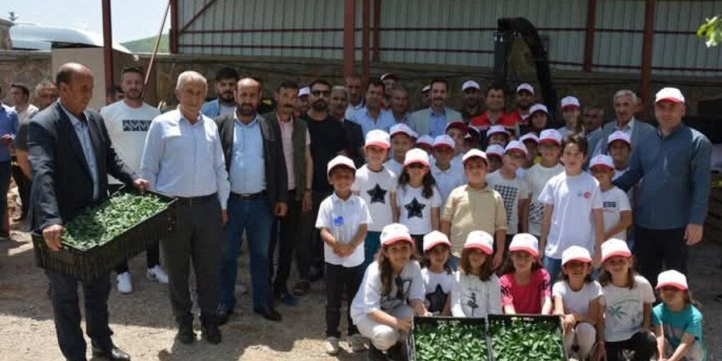 Güroymak’ta fide ve tohum dağıtımı yapıldı