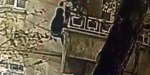 Güvenlik kameralarına aldırış etmedi ev sahibini uyurken hırsızlığa kalkıştı