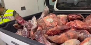 Jandarmadan şok yol uygulaması: Kaçak et ve binlerce ürün ele geçirildi