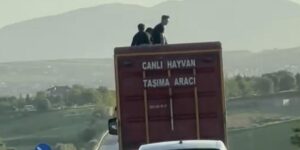 Kamyonun üzerinde tehlikeli yolculuk kamerada