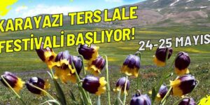 Karayazı ters lale festivali başlıyor;