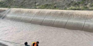 Kars’ta sulama kanalına düşen hayvanlardan 2’si telef oldu