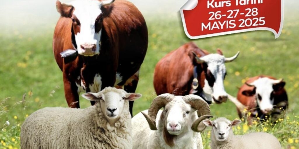 Malatya Büyükşehir Belediyesi’nden kurban kesim kursu