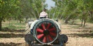 Malatya’da yeniden yeşeren kayısı ağaçları çiftçileri umutlandırdı