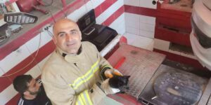 Mardin’de otomobilin motor bölümüne sıkışan yavru kedi kurtarıldı