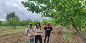 Mühendisler kayısı hastalıkları ve zararlılarına ilişkin gözlemde bulundular