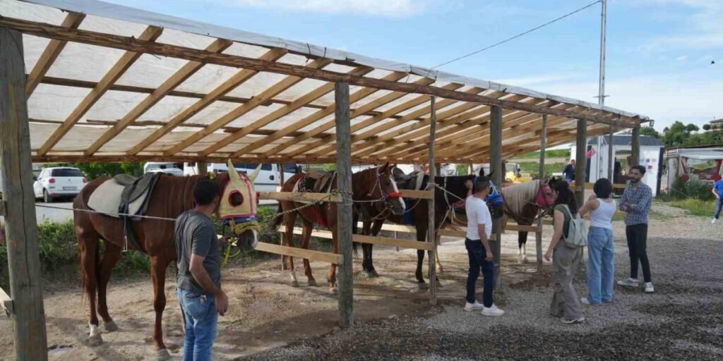 Muş’ta atlı binicilik kulübü, ata sporunu gelecek nesillere aktarıyor