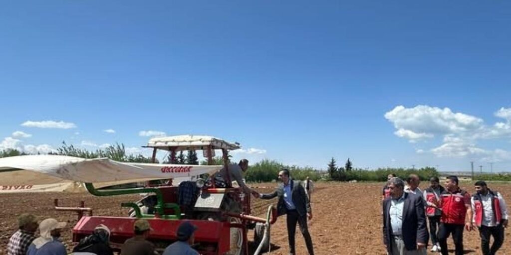 Samsat’ta tütün ekimi başladı