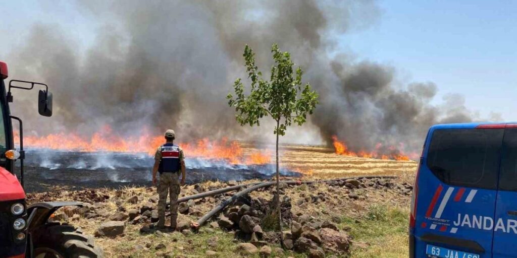 Şanlıurfa’da anız yakanlara para cezası ve adli işlem uygulanacak