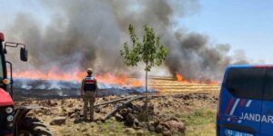 Şanlıurfa’da anız yakanlara para cezası ve adli işlem uygulanacak
