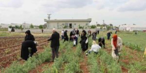 Şanlıurfa’da emekli kadınlara “süs bitkisi yetiştiriciliği eğitimi”