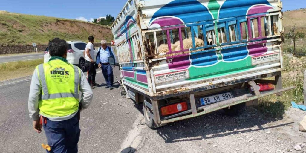 Siirt’te kurbanlıkları taşıyan araç kaza yaptı