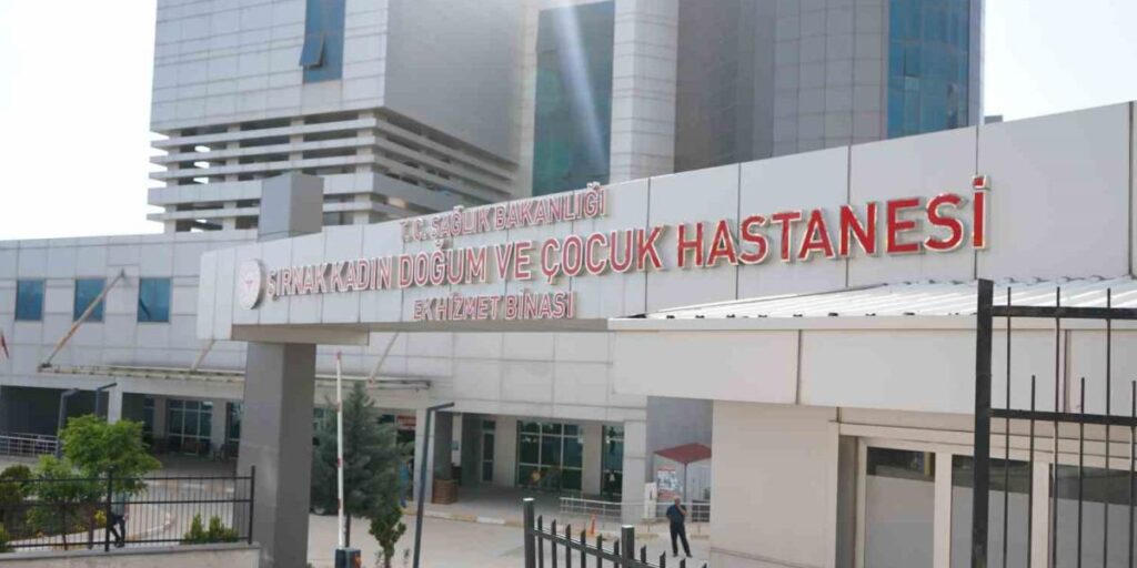 Şırnak’ın ebeleri anneliği anlattı