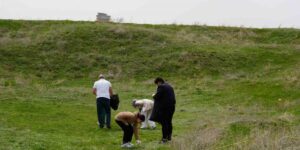 Tabyalarda bahar temizliği