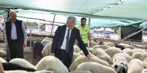 Tahmazoğlu kurban fiyatlarını açıkladı