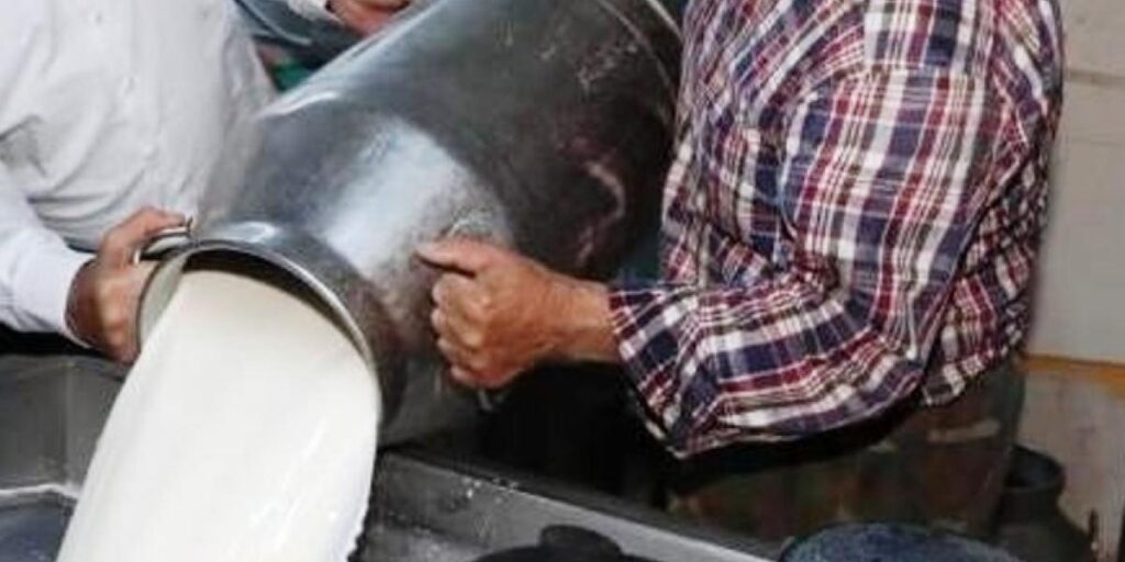 Ticari süt işletmelerince 1 milyon 15 bin 647 ton inek sütü toplandı