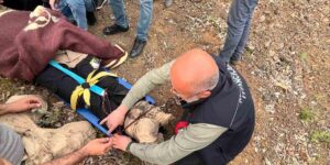 Uçurumdan düşen vatandaşı itfaiye ekipleri kurtardı