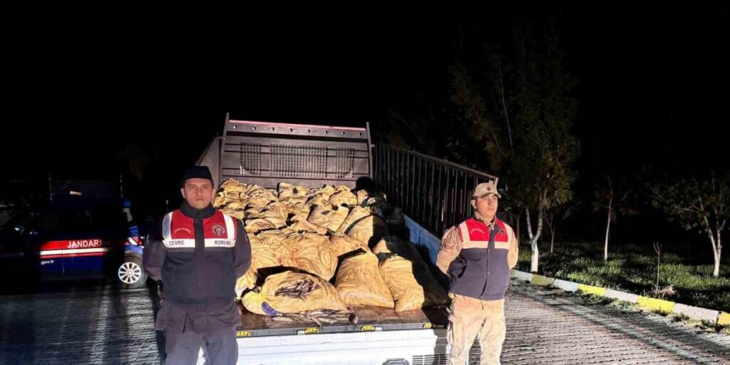 Van’da 3 ton 820 kilo kaçak avlanmış balık ele geçirildi
